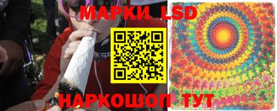 гидропоника Моздок